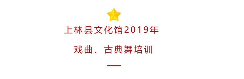 上林县文化馆2019年戏曲古典舞培训